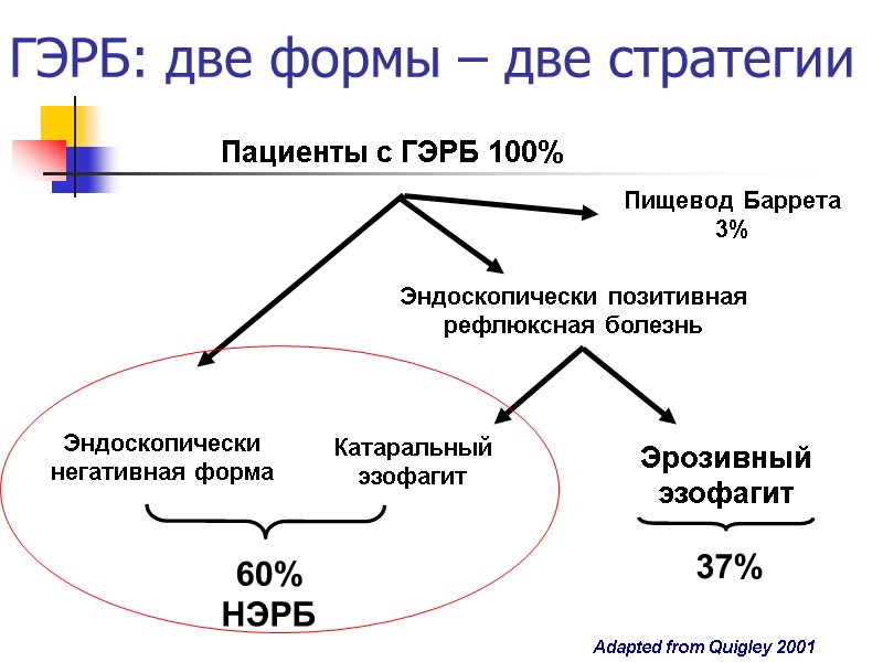 ГЭРБ: две формы – две стратегии Эндоскопически негативная форма  Эндоскопически позитивная рефлюксная болезнь